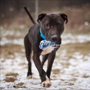 Meet your Posher, Sam